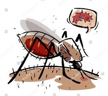 Kasus Malaria Meningkat, Pemkab Inhil Tetapkan KLB