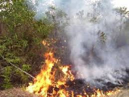 Hotspot di Riau Melonjak Jadi 71 Titik, Terbanyak se-Sumatera