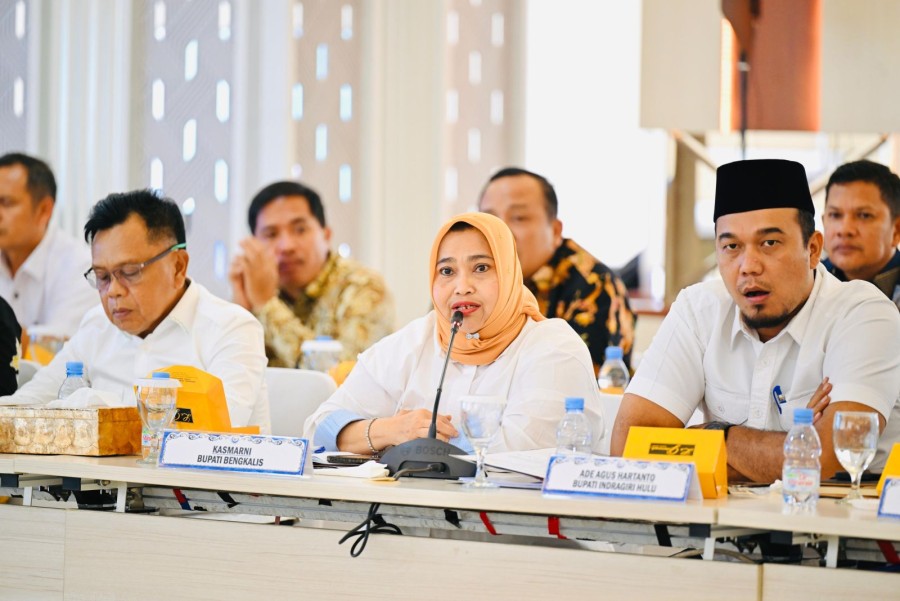 Bupati Bengkalis Temui Wamen KKP, Dorong Transformasi Sektor Kelautan dan Perlindungan Nelayan Perbatasan
