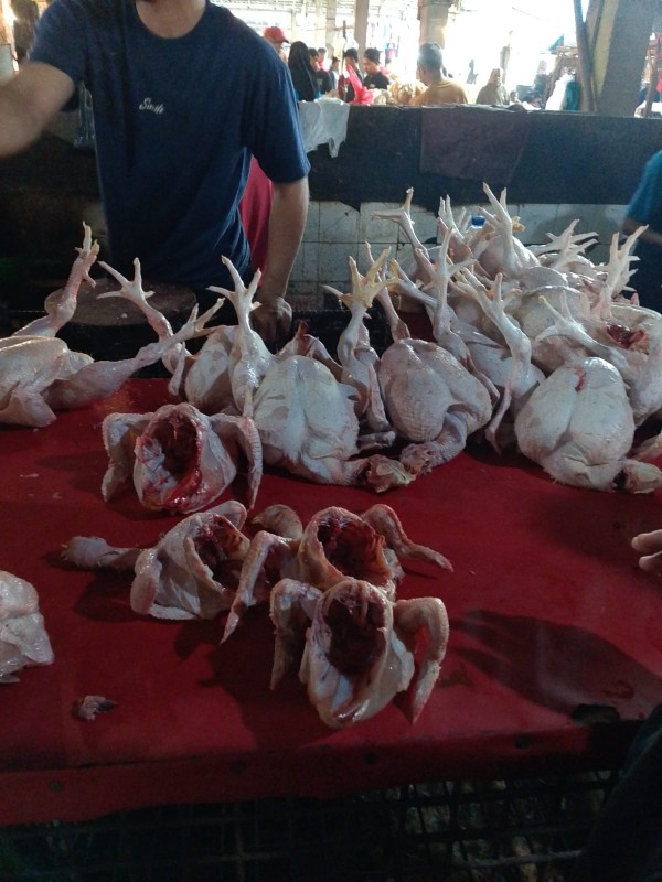 Harga Ayam Potong di Pekanbaru Tembus Rp40 Ribu per Kg