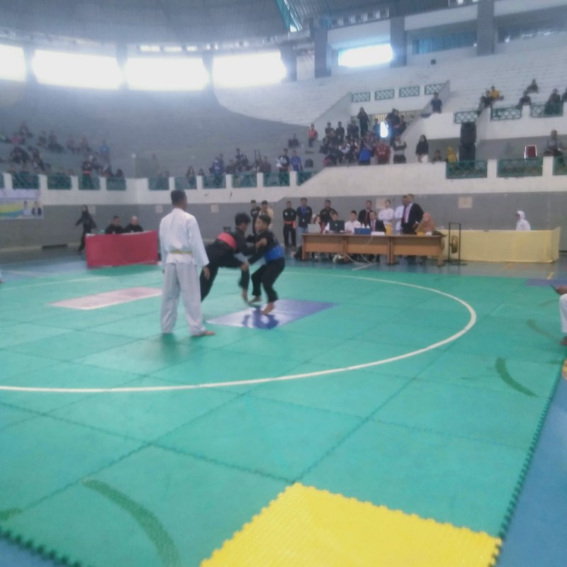 IPSI Riau Gelar Kejurda Silat, 12-14 Mei 2023