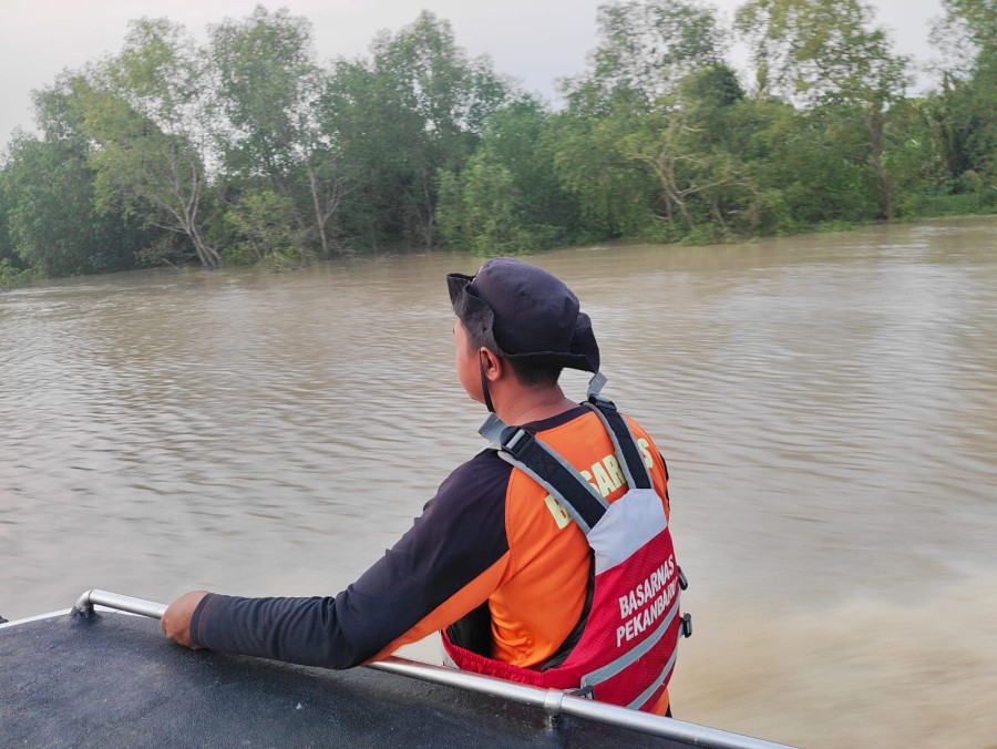 Sudah Tiga Hari Dicari, Nelayan di Rohil Diduga Diterkam Buaya Belum Ditemukan