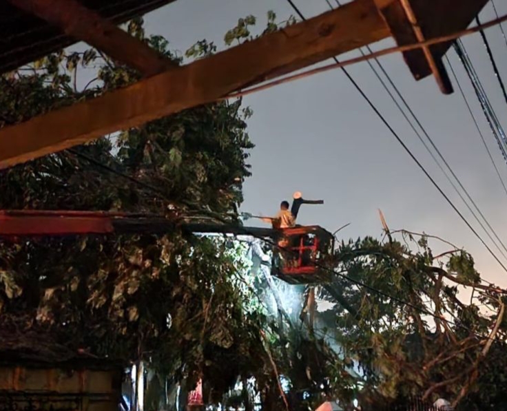 Pohon Tumbang Sebabkan Pasokan Listrik di Pekanbaru Putus