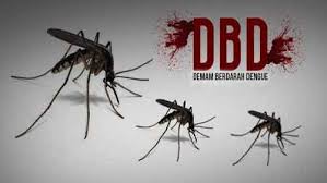 Waspada Demam Berdarah, di Riau DBD Capai 1.537 Kasus