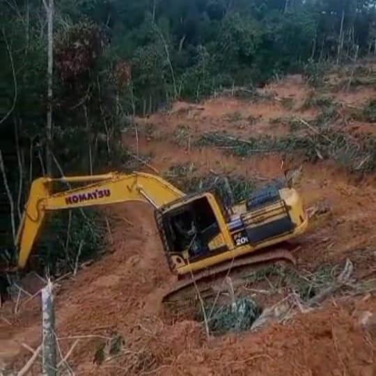 KPH Singingi akan Tindak Lanjuti Dugaan Perambahan Hutan Oleh Oknum Anggota Dewan