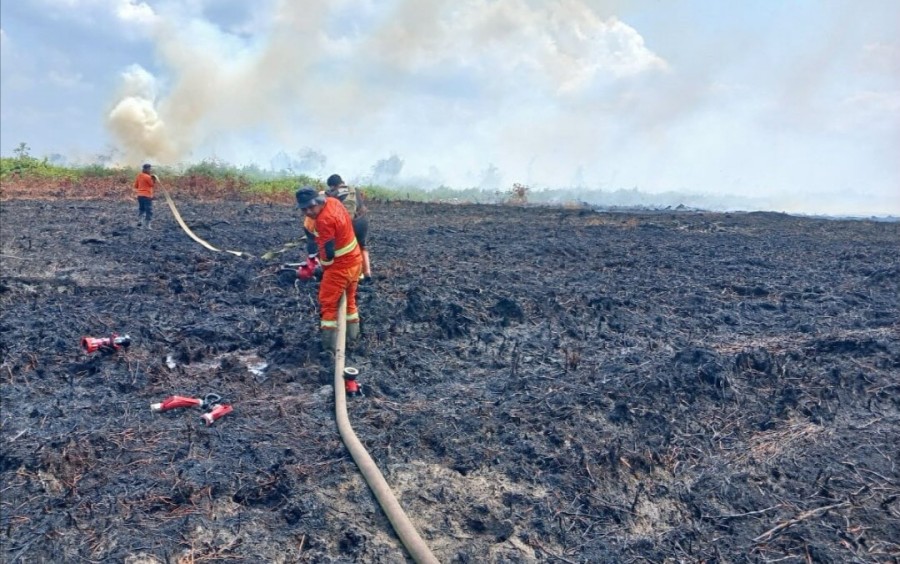 BMKG: Sebaran Titik Panas di Riau Kian Meluas, 50 Hotspot Terdeteksi