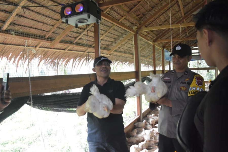Peternakan Ayam Desa Bangkitkan Ekonomi Warga, Wabup Bengkalis Beri Apresiasi