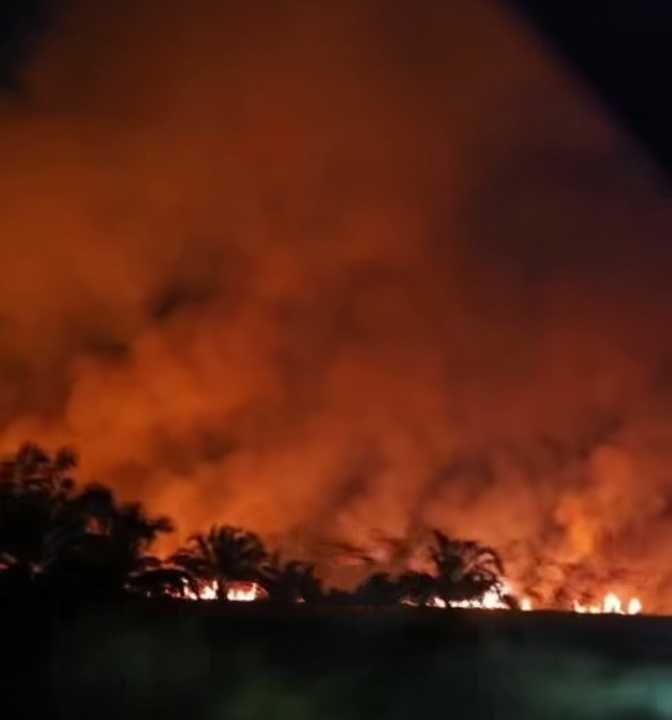 Pemprov Riau Bakal Gelar Rakor Kebakaran Lahan Libatkan Seluruh Desa