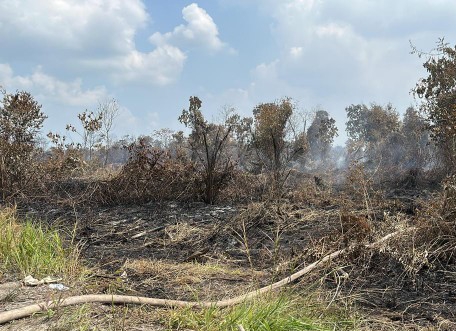 Karhutla di Kampar Picu Kabut Asap di Pekanbaru