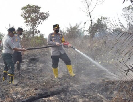 Petugas Berhasil Padamkan Kebakaran Lahan Seluas 311,9 Hektar di Inhu