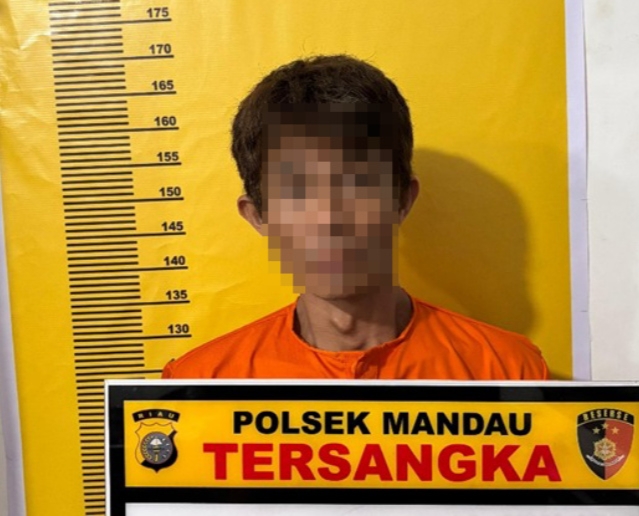 Gara-Gara HP, Anak di Mandau Aniaya Ibu Kandung