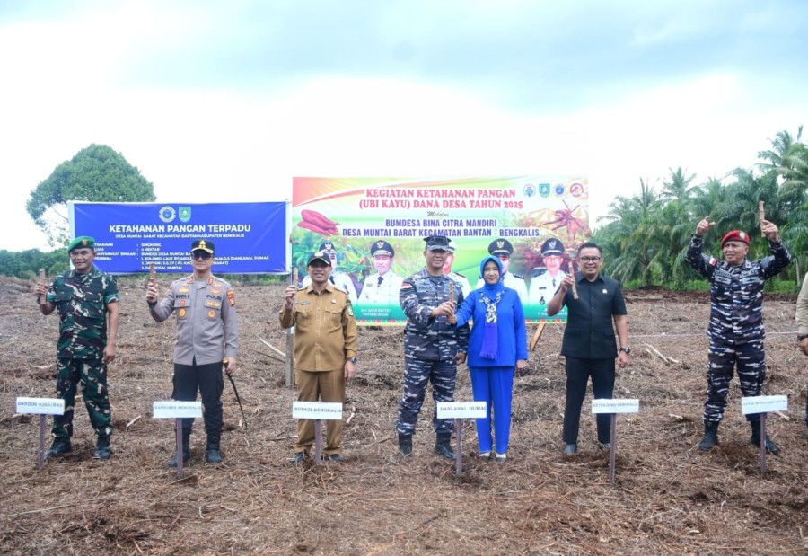 Hijaukan Pesisir, Wabup Bengkalis dan Lanal Dumai Tanam Ribuan Mangrove di Muntai
