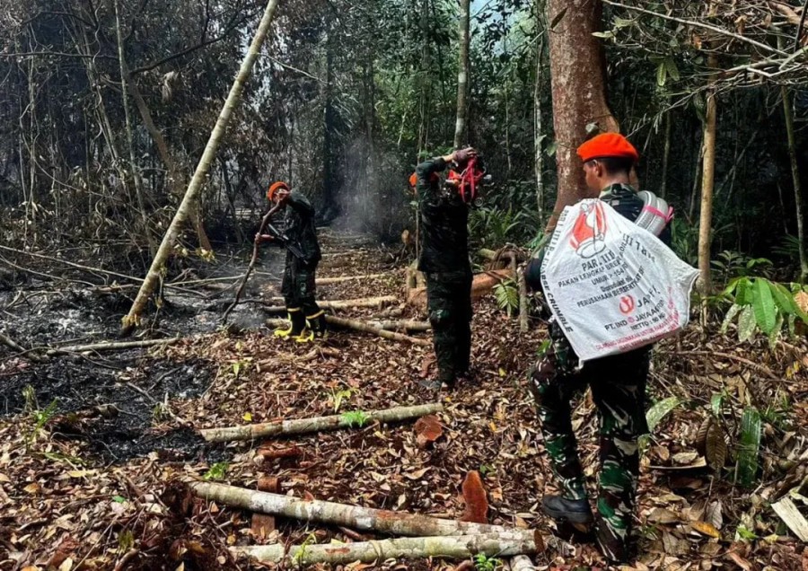 Lanud Rsn Tambah Pasukan Jinakkan Karhutla Pelalawan