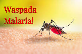 Kasus Malaria Meningkat, Diskes Riau dan Inhil Dirikan Posko di Desa Kuala Selat