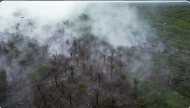 BMKG Deteksi 19 Titik Panas di Riau, Cuaca Cerah Picu Pengeringan Lahan