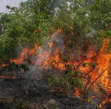 Riau Masih Dikepung Titik Panas, Terbanyak di Kota Dumai