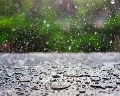 BMKG Prediksi Riau Basah Sepanjang Hari