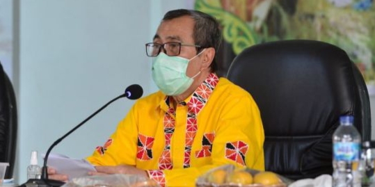 Riau Siapkan 30 Ribu Hektar Lahan untuk Food Estate 