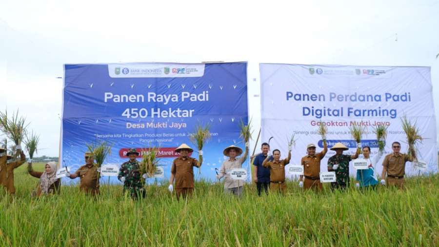 Harga Beras Melambung, Demplot Digital Farming Rohil Panen Raya Perdana