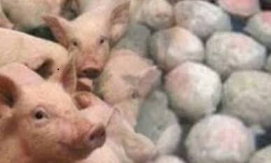 Disperindag Meranti Temukan  Bakso Diduga Mengandung Daging Babi Asal Malaysia