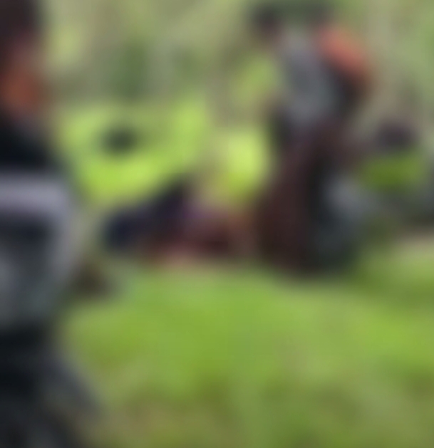 Viral Video Diduga Pelajar Pekanbaru Berantem Guling-guling di Rumput