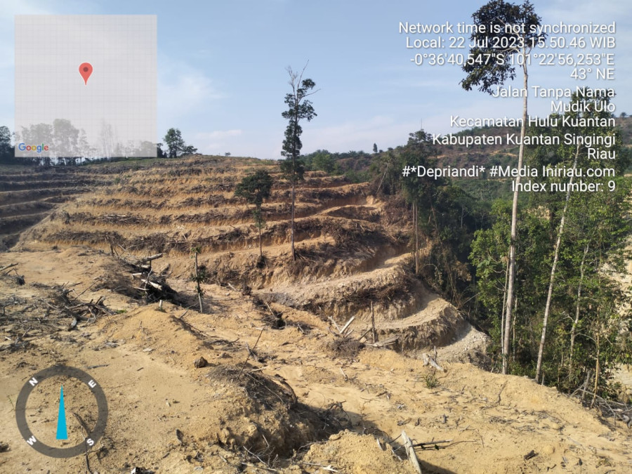 Oknum Mantan Kades di Hulu Kuantan Diduga Jual Hutan Produksi Terbatas