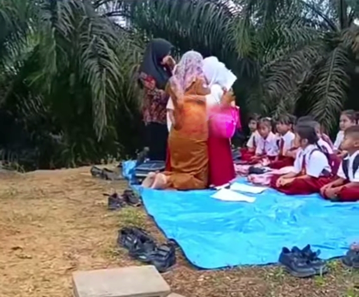 Anak-Anak TNTN Akhirnya Diizinkan Sekolah, Setelah Viral Belajar di Bawah Kebun Sawit
