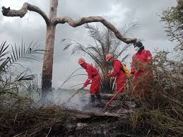 Lahan Terbakar di Tanjung Buton, Satgas Karhutla Dikerahkan Hingga Malam