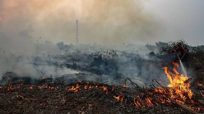 Ledakan Titik Panas di Riau, 383 Hotspot Kepung Bumi Lancang Kuning