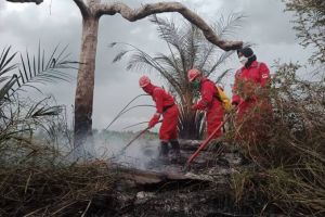 Hotspot di Sumatera Capai 150 Titik, Riau Tersebar di 10 Kabupaten