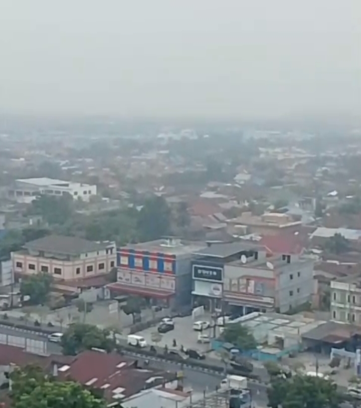 BMKG Minta Warga Waspadai Asap, Cuaca Riau Masih Didominasi Udara Kabur