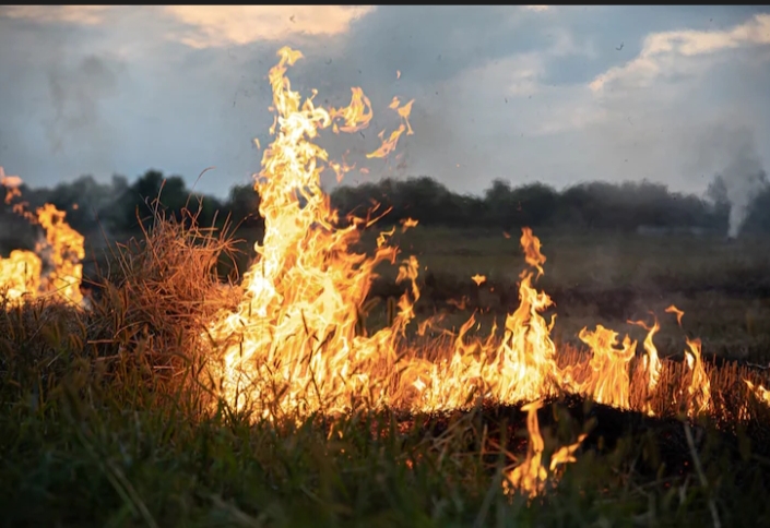 BMKG Pantau 115 Hotspot di Sumatera, Riau Masih Tertinggi