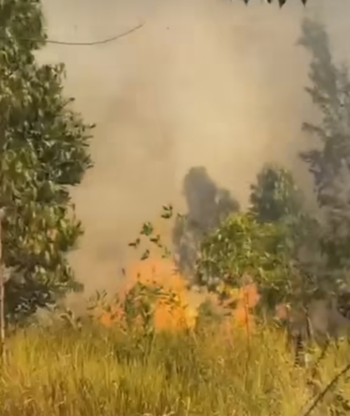 Waspada Kabut Asap, Riau Dikepung 87 Titik Panas