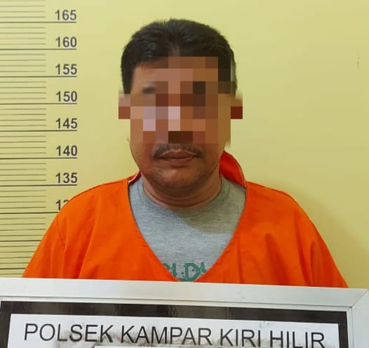 Jadi Otak Pencurian Sawit, MA Warga Kampung Pinang Ditangkap Polsek Kampar Kiri Hilir
