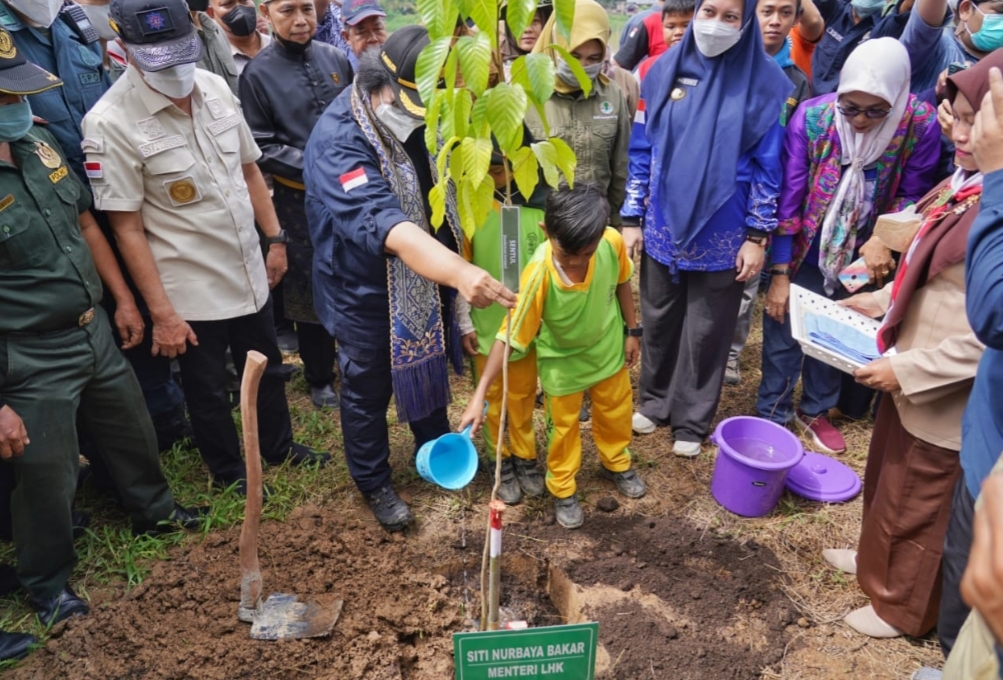 Cegah Abrasi, Gubri dan Menteri LHK Tanam Pohon di Tepian DAS Indragiri