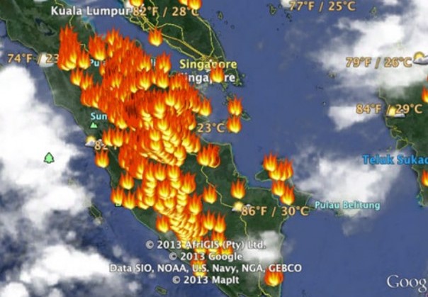 Ada 286 Titik Panas Kembali Muncul di Sumatera, Terbanyak di Lampung