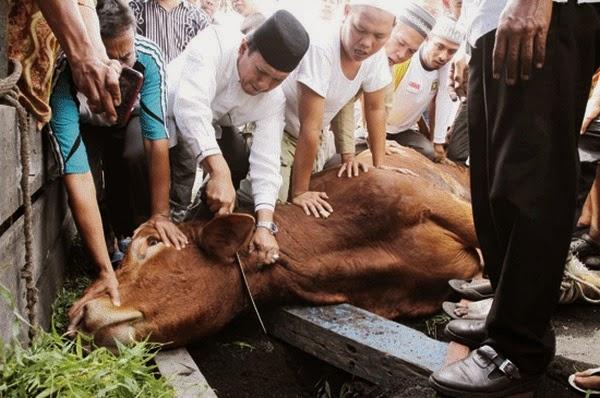 Ini Pedoman Shalat Idul Adha dan Penyembelihan Hewan Kurban di Pekanbaru