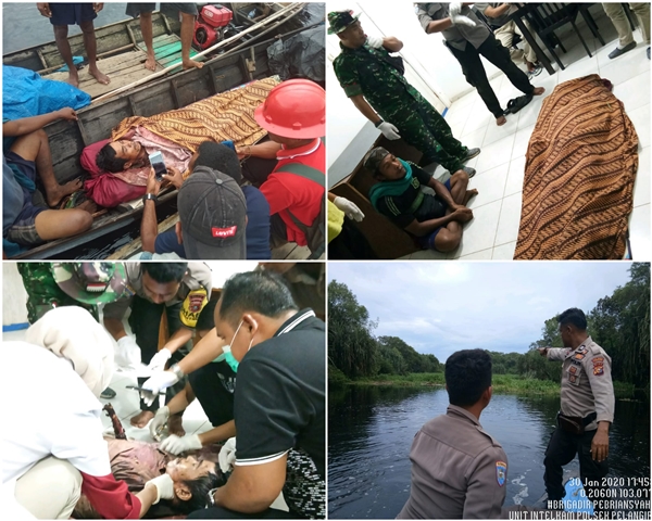 Warga Inhil Tewas Diterkam Harimau, BBKSDA Riau Himbau Masyarakat Tetap Waspada,Tenang dan Tidak Anarkis