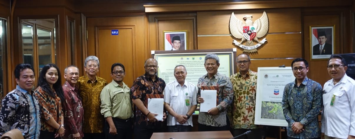 Dukung Restorasi Hutan Mangrove, PT Chevron Sumbang Rp 4 Miliar