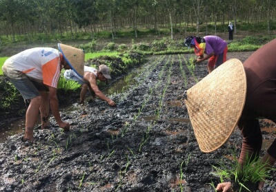 Petani di Riau Defisit sebab Juli 2019 NTP Turun