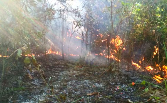 Dua Hektar Lahan Gambut di Rupat Terbakar