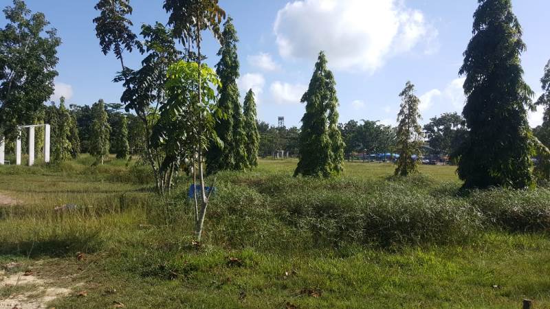 Taman PCR Kurang Terawat, Firmansyah Angkat Bicara