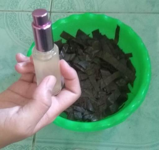 Hand Sanitizer Berbahan Daun Sirih di Buat Oleh Pokdarwis Lembah Sajonang Sawahlunto