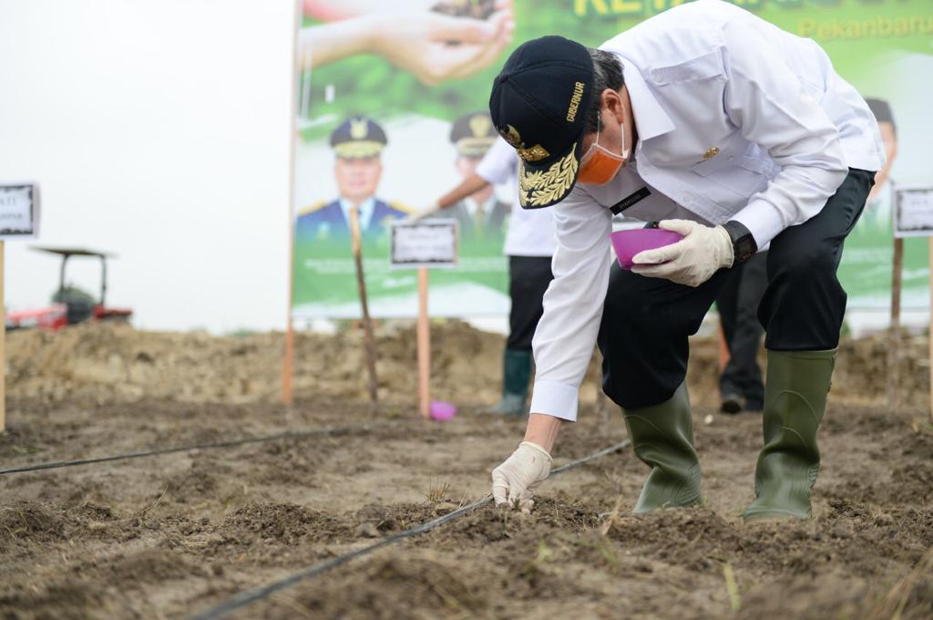 Gubri Ajak Masyarakat Menanam Untuk Ketahanan Pangan
