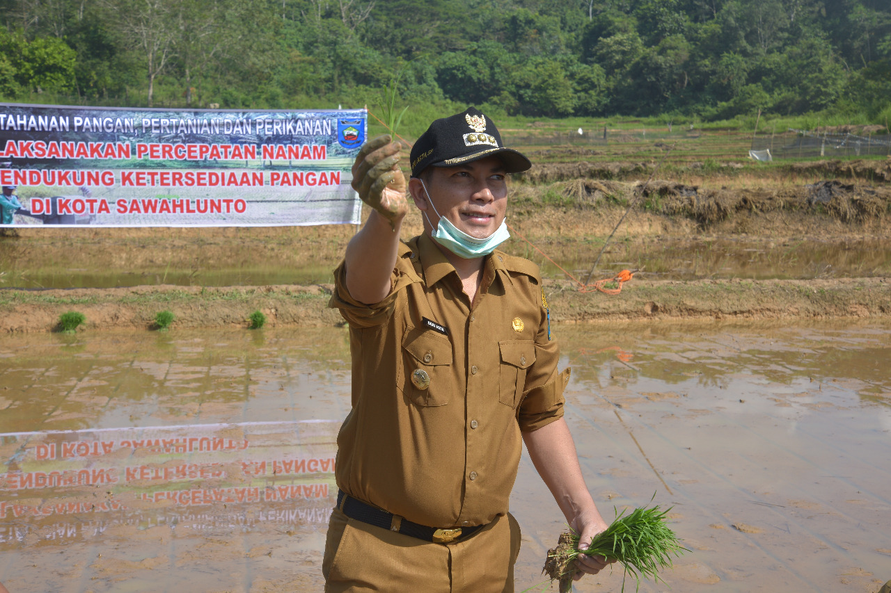 Walikota Sawahlunto Deri Asta Optimalkan Fungsi Lahan Pekarangan