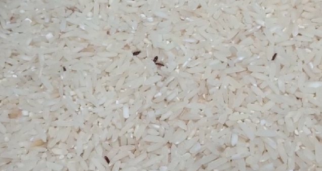 DPRD Karawang Temukan Cadangan Beras Berkutu untuk Dapur Umum