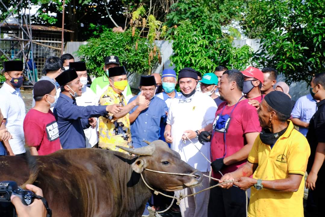 Gubri Hadiri Penyembelihan Kurban di PWI Riau, Zulmansyah : Tahun Ini Lebih Banyak