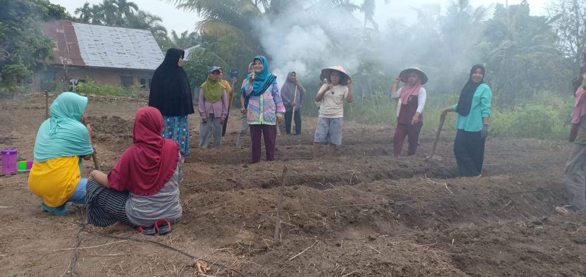 Dibawah Cuaca Terik, Emak-emak RT02/RW02 Sialang Rampai Bercocok Tanam