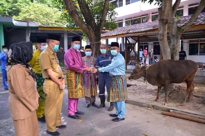 Pemko Pekanbaru Potong 44 Hewan Kurban