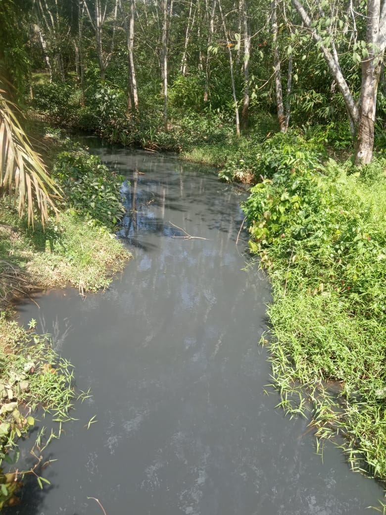 Air sungai Sangkalalo Menghitam, Diduga Tercemar Getah Kulit Kayu PT Â RAPP